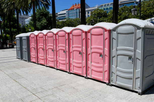 Best Portable Restroom Removal and Pickup  in Pilot Mountain, NC